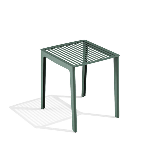 Babel D Gao-Kruk Salvia