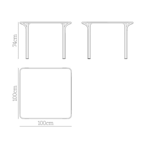 Babel D Jos Vierkante tafel 100x100 cm