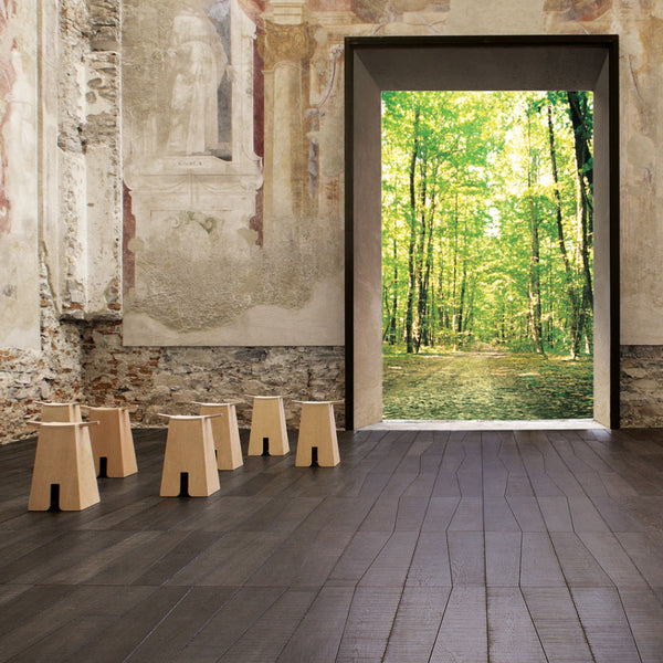 Michele De Lucchi Bizon Kruk