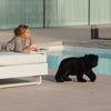 Axis71 Charlie My Bear - Baby Charlie