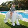 Axis71 Charlie My Bear Wit